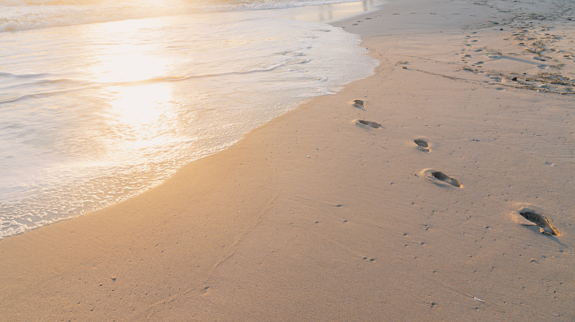 Morning beach walk
